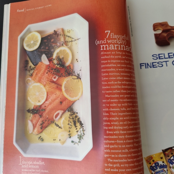 July 2003 | Martha Stewart Living magazine 🇺🇸 - Picture 10 of 16